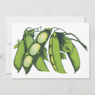 Légumes vintages ; Haricots de Lima, Aliments Agri