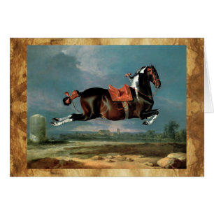 L'élevage du Cheval Piebald "Cehero"