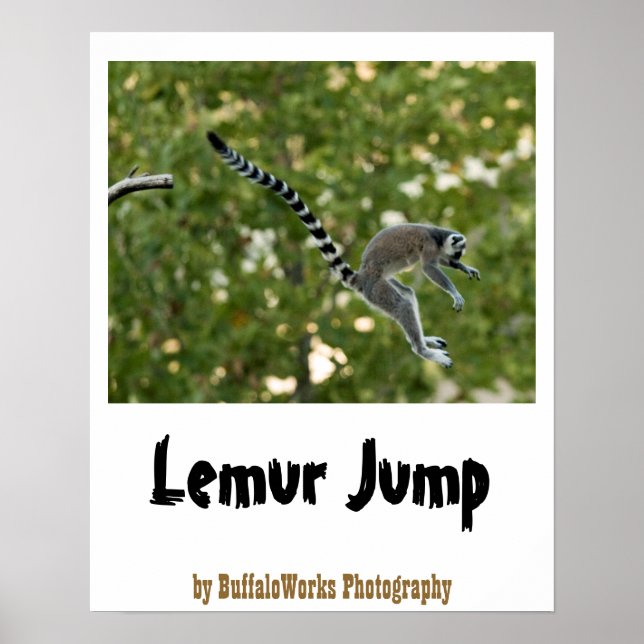 Lemur Jump Poster (Devant)
