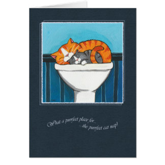 L'endroit de Purrfect pour un petit somme de chat