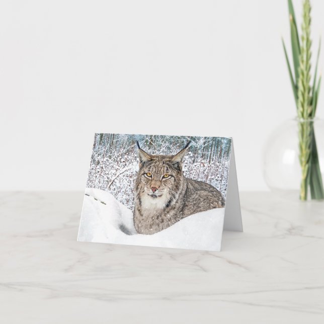 "l'enfant d'hiver" (Devant)