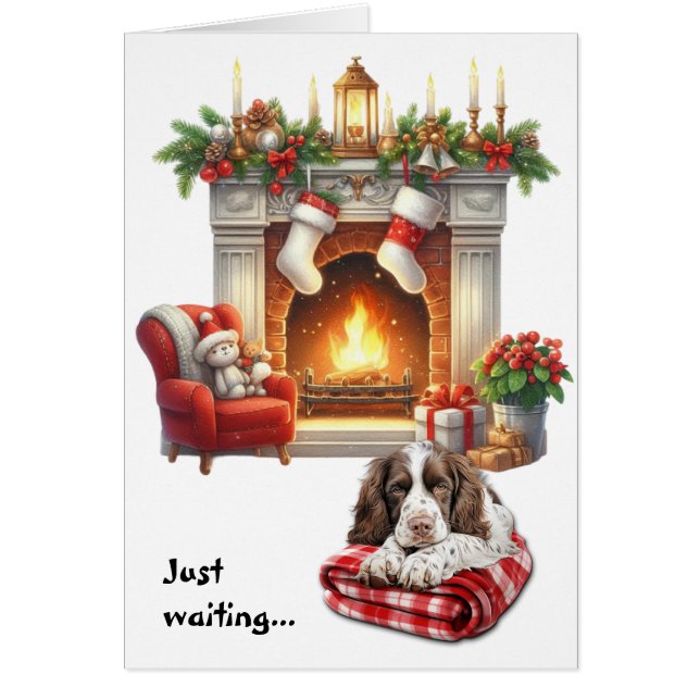 L'English Springer Spaniel attend Noël (Devant)