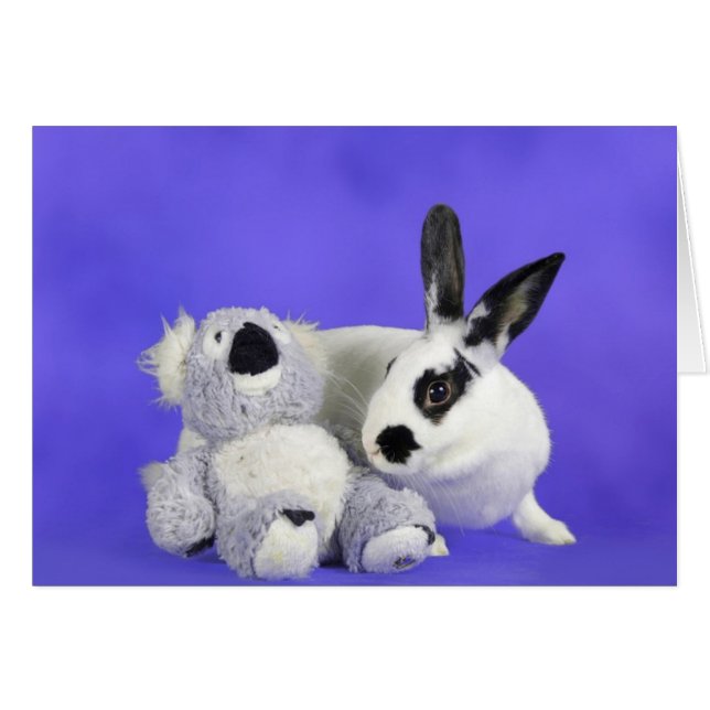 Lenox (Devant horizontal)