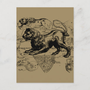 Leo Constellation Carte Hevelius vers 1690