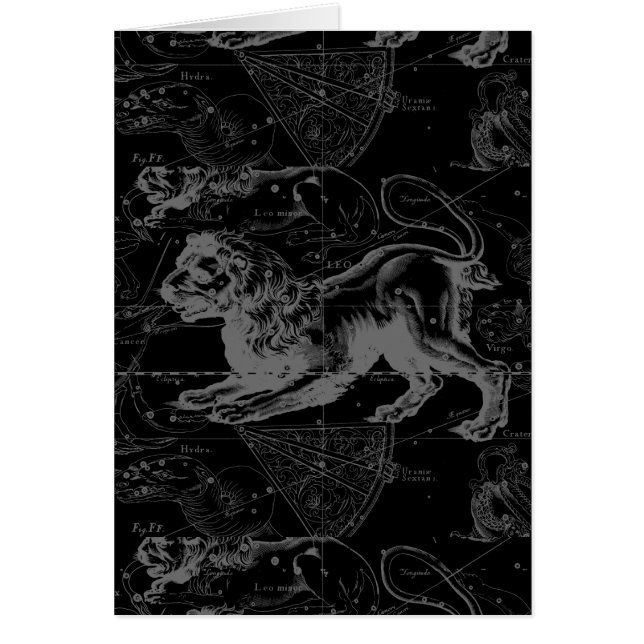 Leo Constellation Hevelius 1690 Decor (Devant)