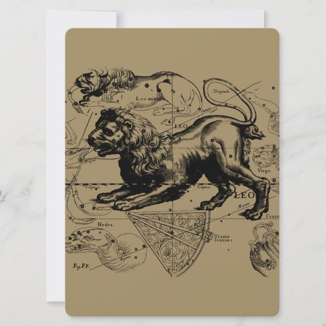 Leo Constellation Hevelius 1690 Juillet23 - Août 2 (Devant)