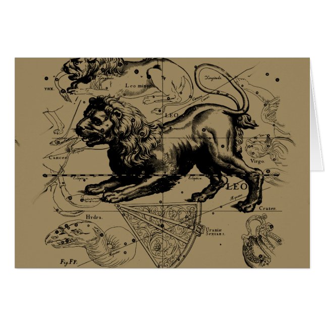 Leo Constellation Map Hevelius circa 1690 (Devant horizontal)