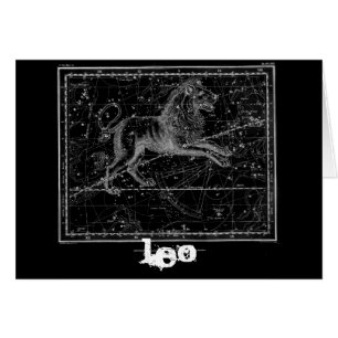 Leo, le Lion