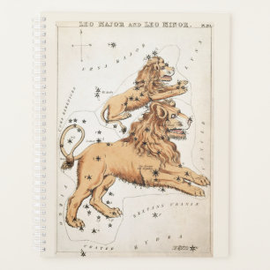 Leo zodiac céleste