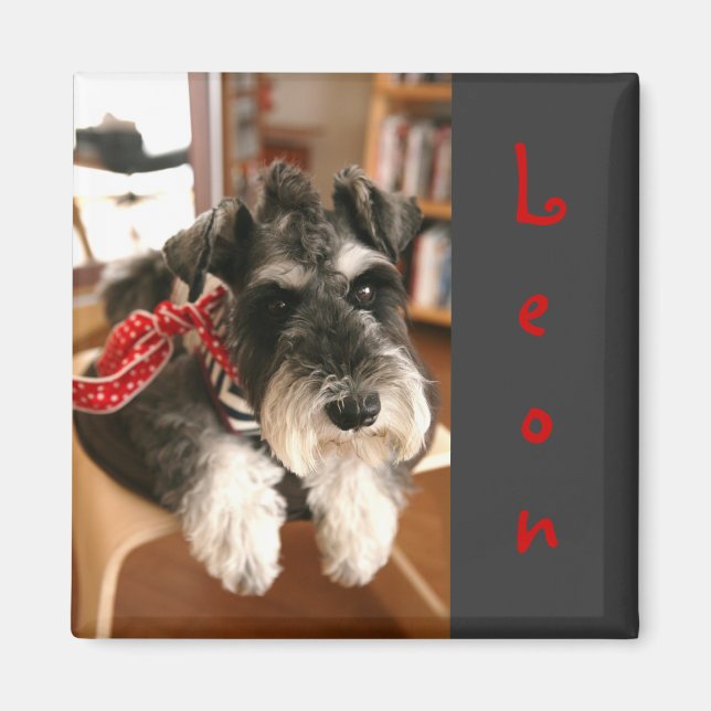 Leon magnets B (Devant)