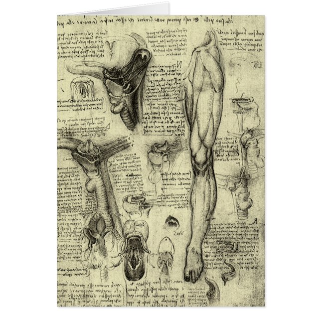 Leonardo da Vinci Vintage Anatomie humaine Larynx  (Devant)