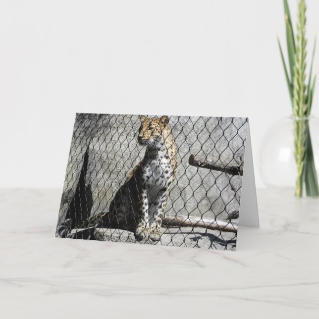 "Leopard #2" Carte de puits (Devant)