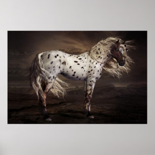 Leopard Appaloosa Poster