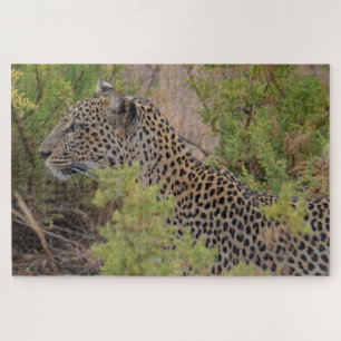 Léopard au Kenya Afrique Puzzle