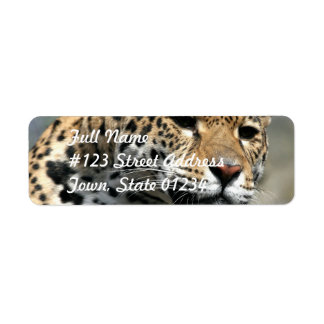 Leopard Cat Étiquettes