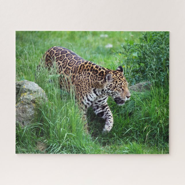 Leopard dans l'herbe Puzzle (Horizontal)