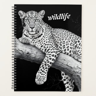 Léopard de minuit, illustration de faune et flore