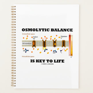 L'Équilibre Osmolytique Est La Clé De La Pompe Na-