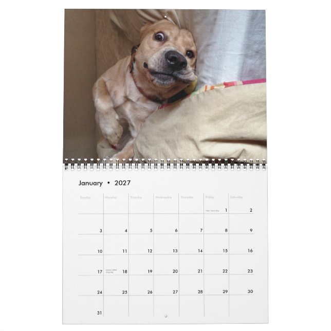 Les 2013 calendriers de "mon Dirk de chien" (Jan 2027)