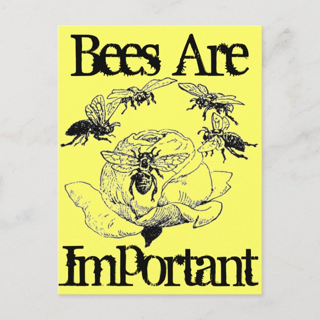 Les abeilles sont une carte postale importante (Devant)