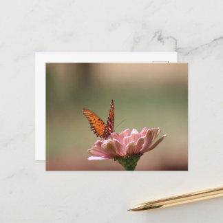 Les ailes — Carte postale Papillon