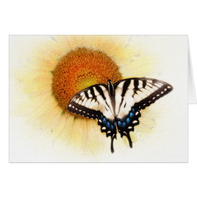 Les ailes d'un papillon (Devant horizontal)
