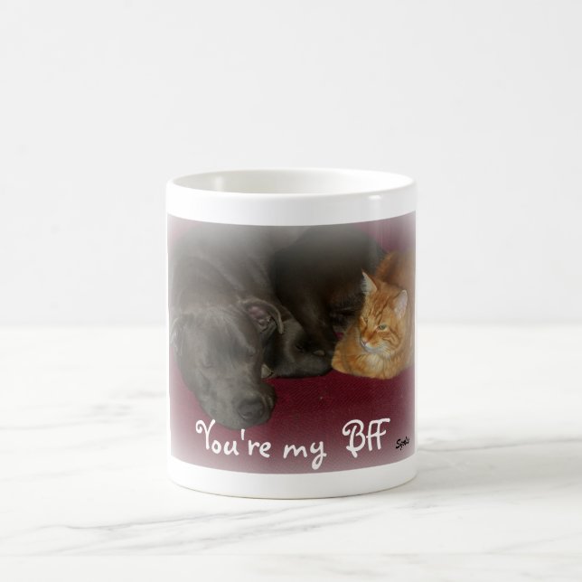 Les amis des chiens et des chats pour toujours Mug (Centre)