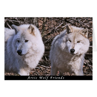 Les amis des loups d'art
