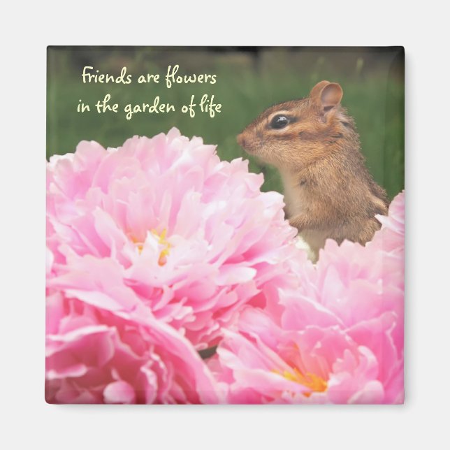 Les amis sont des fleurs Citation Chipmunk Magnet (Devant)