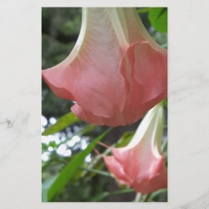 Les anges roses trompent les fleurs