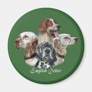 Les anglais SetterCan't ont juste un aimant