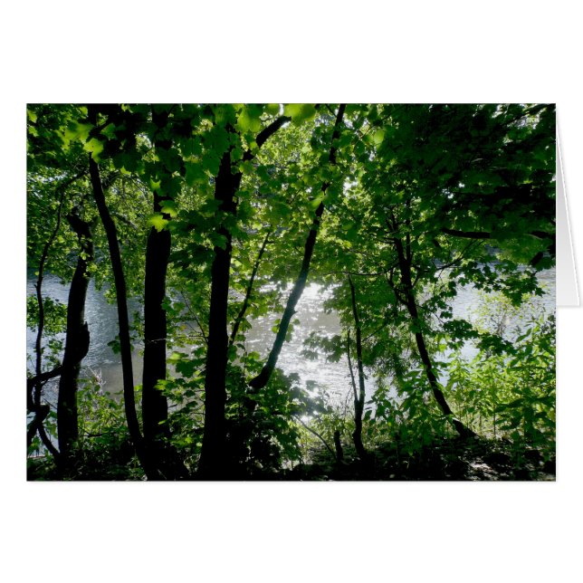 Les arbres au bord de la rivière (Devant horizontal)
