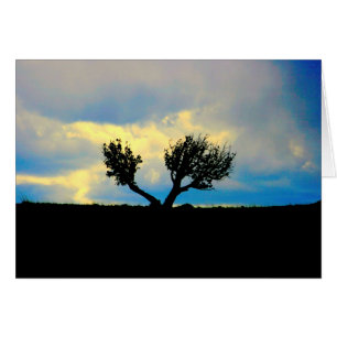 Les arbres dans le désert