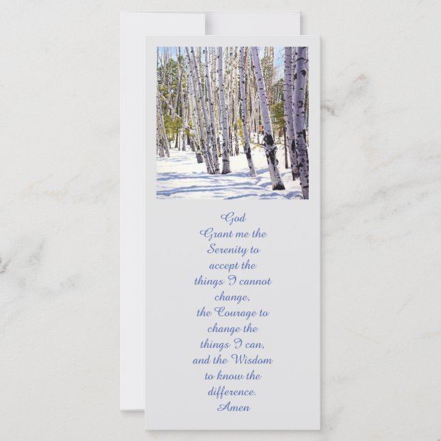 Les arbres d'Aspen dans la forêt (Devant)