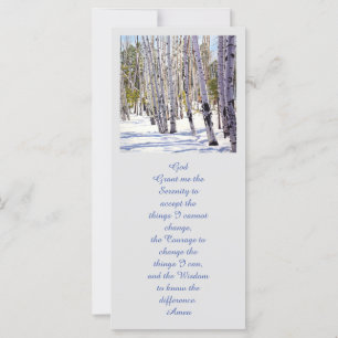 Les arbres d'Aspen dans la forêt