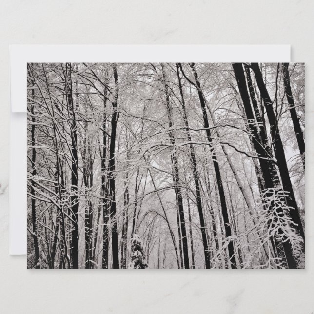 Les arbres d'hiver (Devant)