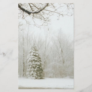 Les arbres d'hiver