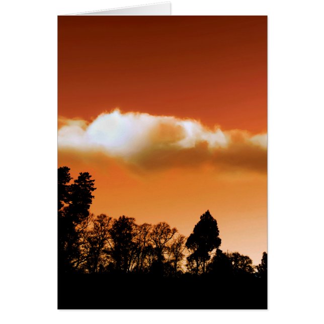Les arbres du soleil (Devant)
