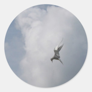 Les autocollants Tern in the Sky