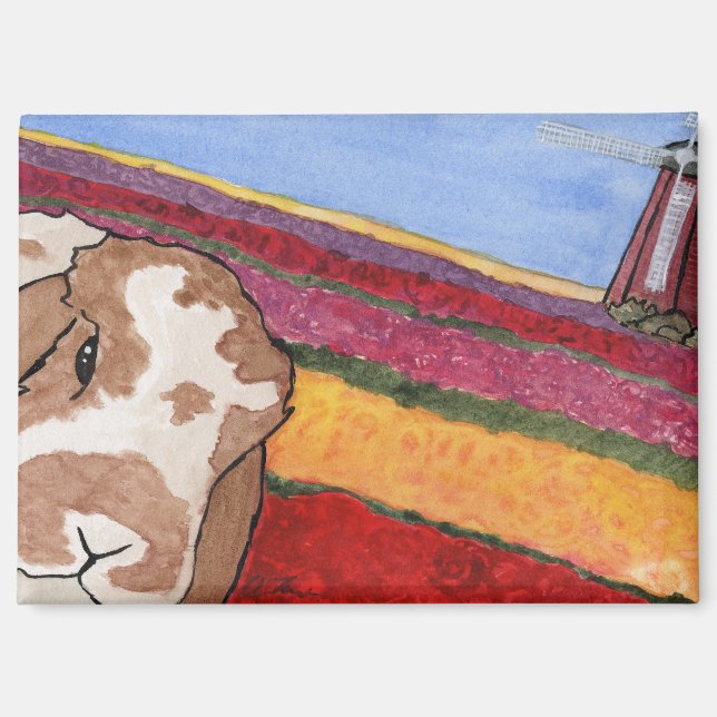 Les aventures de la noix de coco : May Magnet 3.5" (Recto)