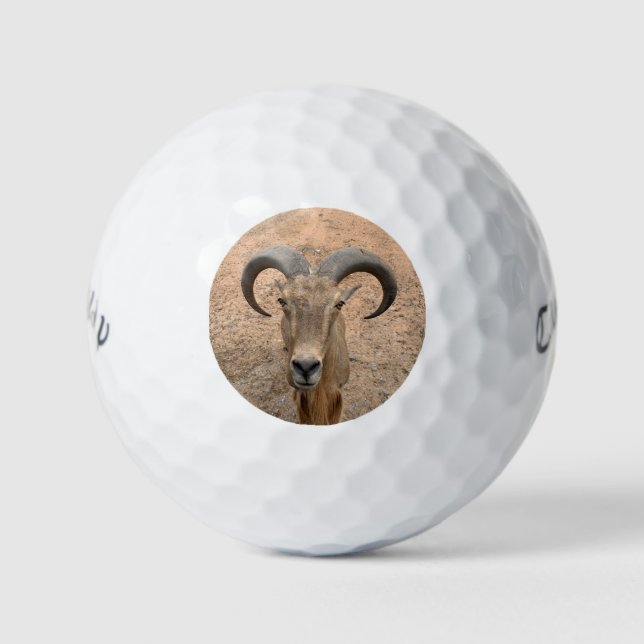 Les balles de golf The Goat - Ajoutez votre image (Devant)