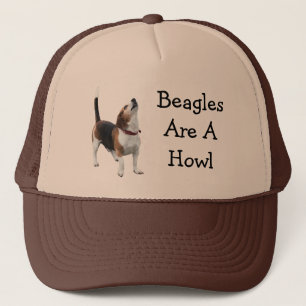 Les beagles sont un casquette drôle de chien