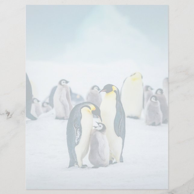 Les bébés animaux les plus mignons | Alimentation  (Devant)