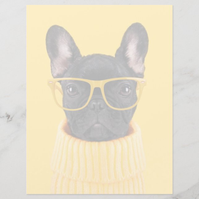 Les bébés animaux les plus mignons | Lunettes de s (Devant)