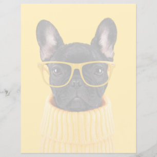 Les bébés animaux les plus mignons Lunettes de s