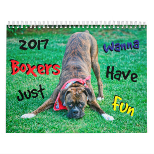Les boxeurs veulent juste avoir le calendrier de