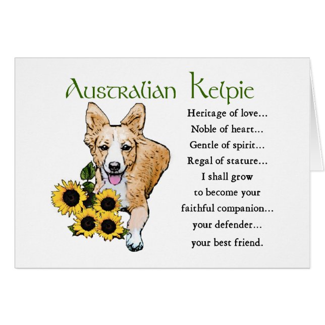 Les cadeaux Kelpie australiens (Devant horizontal)