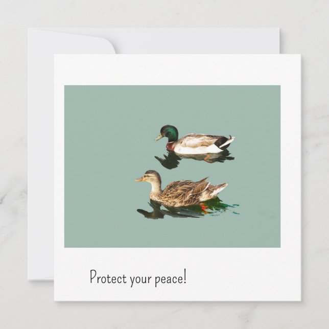 Les canards. Protégez votre paix (Devant)