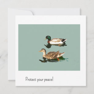 Les canards. Protégez votre paix