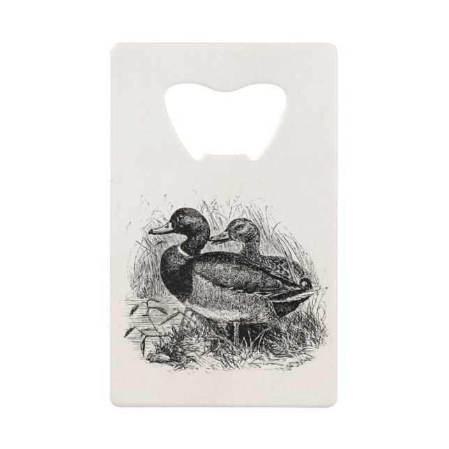 Les canards sauvages vintages de Mallard ont (Devant)